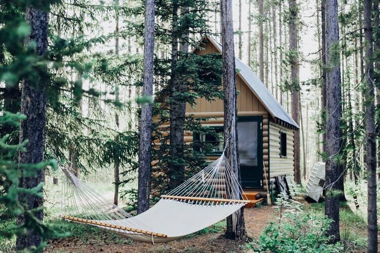 A log cabin and hammock representing a simple mindful life..