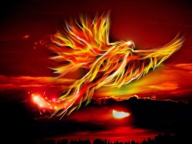 a fiery phoenix..