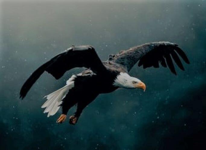 though you soar like the Eagles.