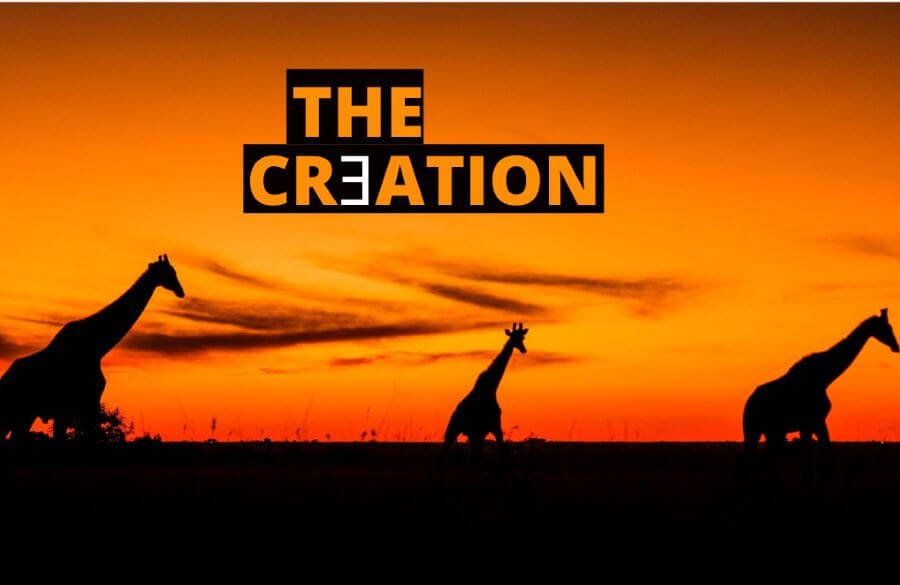 Giraffes during an African sunset, an example of God's creation.